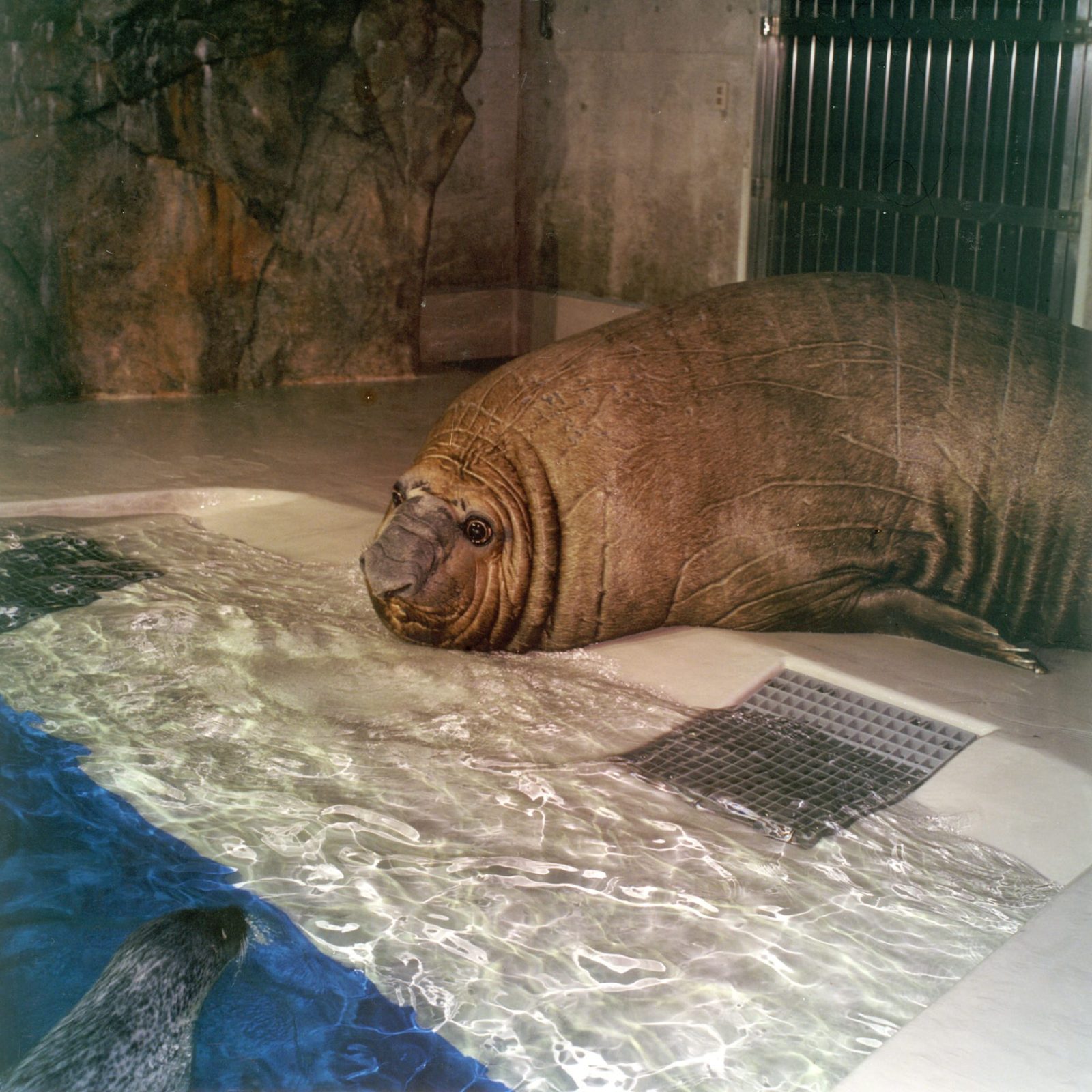 阪本 勇 Arts Initiative Tokyo